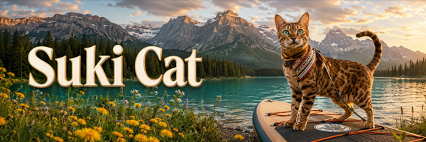 Suki Cat banner